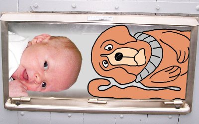 hund-babyklappe