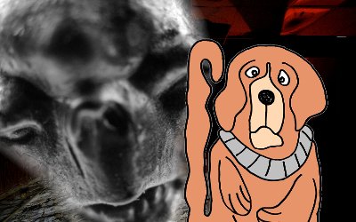hund-entfuehren